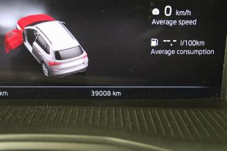 Skoda Kamiq  picture 12