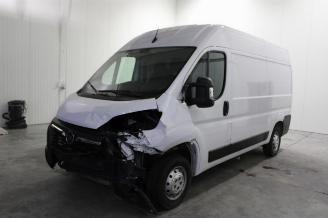 Opel Movano  picture 1