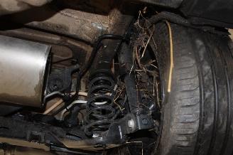 Volkswagen Golf  picture 19