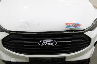 Ford Transit  picture 6