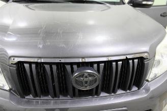 Toyota Landcruiser Land Cruiser picture 7