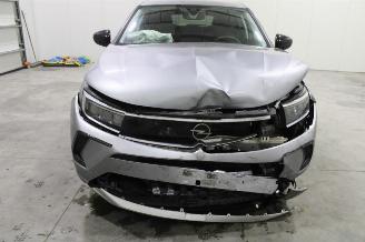 Opel Grandland X picture 6