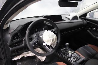 Mazda CX-30  picture 8