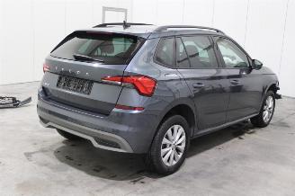 Skoda Kamiq  picture 3