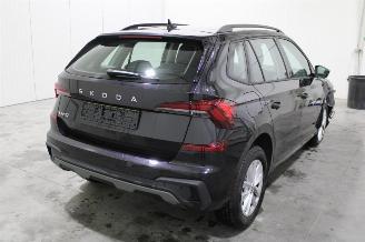 Skoda Kamiq  picture 3