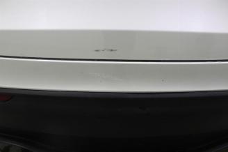 Tesla Model Y  picture 23