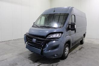 Vrakbiler auto Fiat Ducato  2021/8