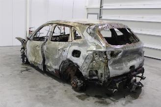 Ford Kuga  picture 5