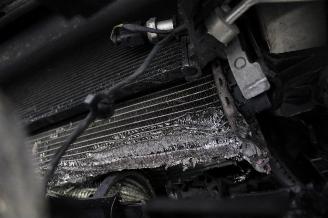 Audi RS Q8 picture 16