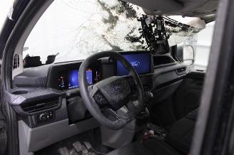 Ford Transit  picture 10