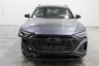 Audi Q8 e-tron picture 6
