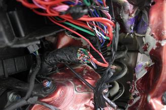 Kia Picanto  picture 17