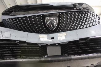 Peugeot 5008  picture 19