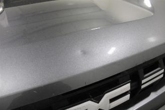 Dacia Duster  picture 12