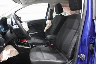 Ford EcoSport  picture 11