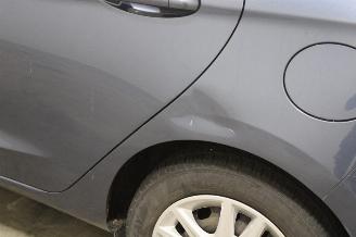 Ford Fiesta  picture 8