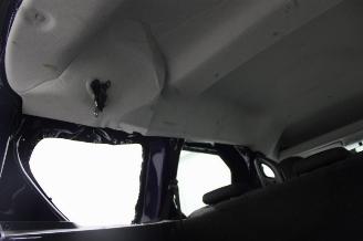 Dacia Dokker  picture 17