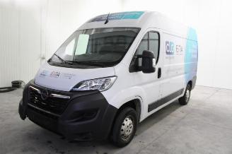 Avarii autoturisme Opel Movano  2022/9