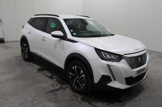 Peugeot 2008  picture 3