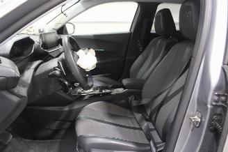 Peugeot 2008  picture 12