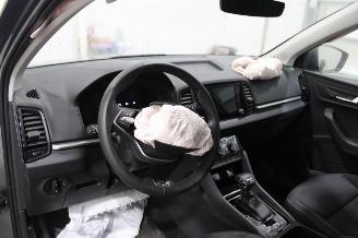 Skoda Karoq  picture 9