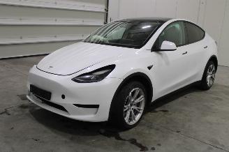 Avarii autoturisme Tesla Model Y  2023/6
