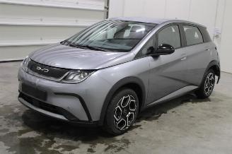 Avarii autoturisme BYD Dolphin  2024/9
