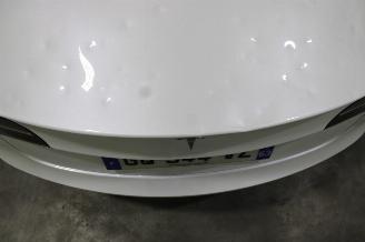 Tesla Model 3  picture 8