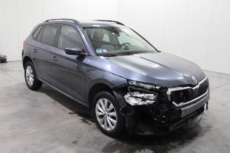 Skoda Kamiq  picture 2