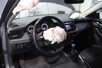 Skoda Kamiq  picture 9