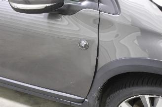 Peugeot 2008  picture 22