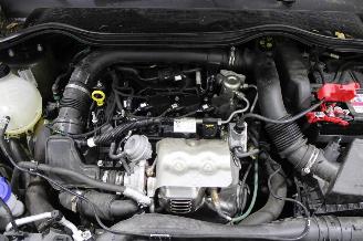 Ford Fiesta  picture 15