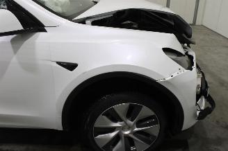 Tesla Model Y  picture 8