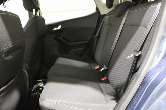 Ford Fiesta  picture 12