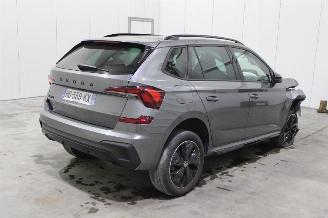 Skoda Kamiq  picture 3