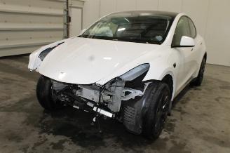 škoda osobní automobily Tesla Model Y  2025/2