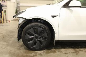 Tesla Model Y  picture 5