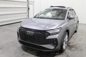 disassembly passenger cars Audi Q4 e-tron 2023/5