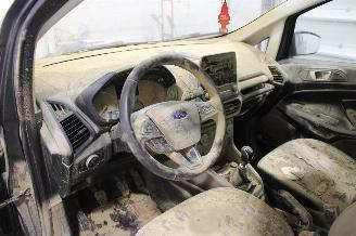 Ford EcoSport  picture 10
