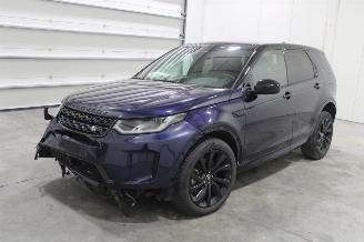 Damaged car Land Rover Discovery Sport  2023/1