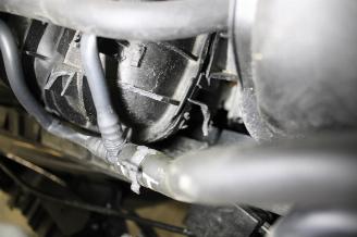 Volkswagen Golf  picture 22