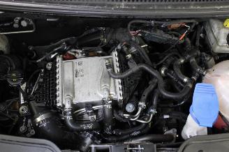 Volkswagen Transporter T6 picture 14