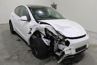 Tesla Model Y  picture 2
