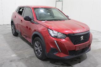 Peugeot 2008  picture 2