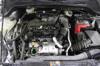 Ford Focus  picture 15
