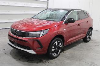 damaged passenger cars Opel Grandland X 2023/9
