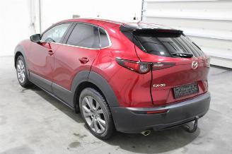 Mazda CX-30  picture 4
