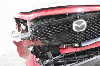 Mazda CX-30  picture 5