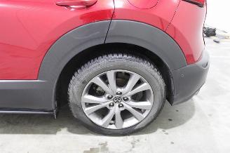 Mazda CX-30  picture 8