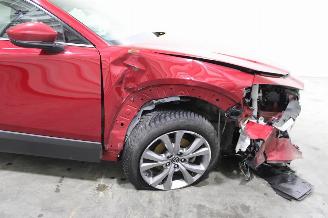 Mazda CX-30  picture 6